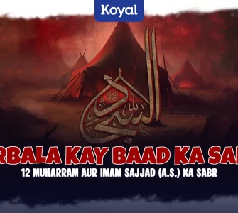 Sajjad (A.S.) Ka Sabr Karbala kay Baad Ka Safar 12 Muharram Ki Tareekh Aur Imam